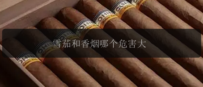 雪茄和香烟哪个危害大